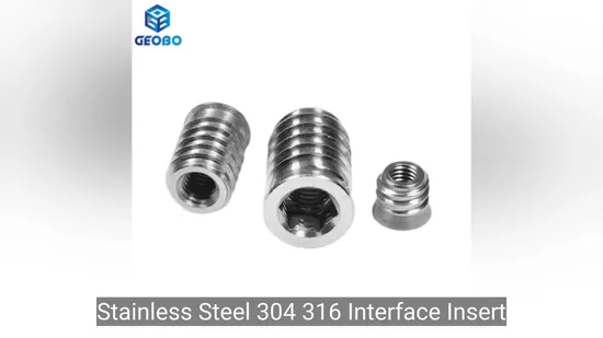 Stainless Steel 304 316 Interface Insert Nuts for Wood Furniture Insert Nut 