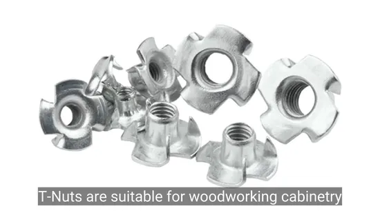 Stainless Steel DIN1624 M3 M4 M5 M6 M8 M10 Four Claws Nut T